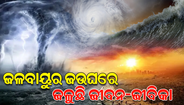 ବଢୁଛି ପ୍ରକୃତିର ପ୍ରକୋପ; ଋତୁଚକ୍ରରେ ଅନିୟମିତତା, ୮ ମାସରେ ଗଲାଣି ୩୨୦୦ ଜୀବନ