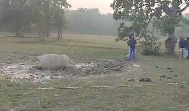 ହାତୀ ମୃତଦେହ ଠାବ, କାଦୁଅରେ ପୋତି ହୋଇ ଚାଲିଗଲା ଜୀବନ