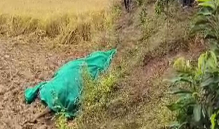 ଧାନ ଜମିରୁ ମାଈହାତୀର କ୍ଷତବିକ୍ଷତ ମୃତଦେହ ଠାବ
