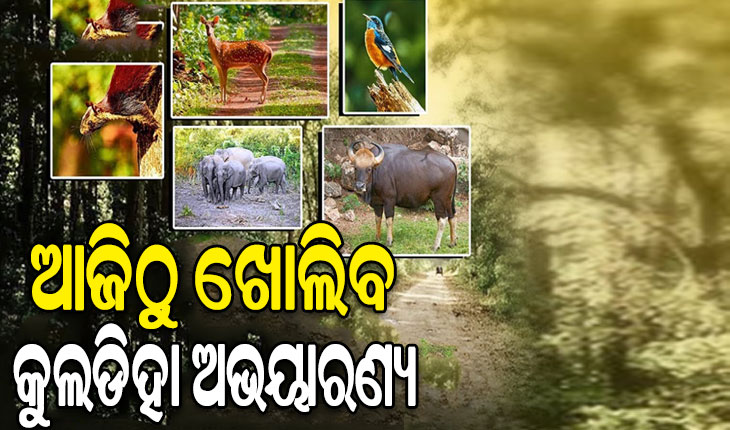 ଆଜିଠାରୁ ପର୍ଯ୍ୟଟକଙ୍କ ପାଇଁ ଖୋଲିବ କୁଲଡିହା ଅଭୟାରଣ୍ୟ