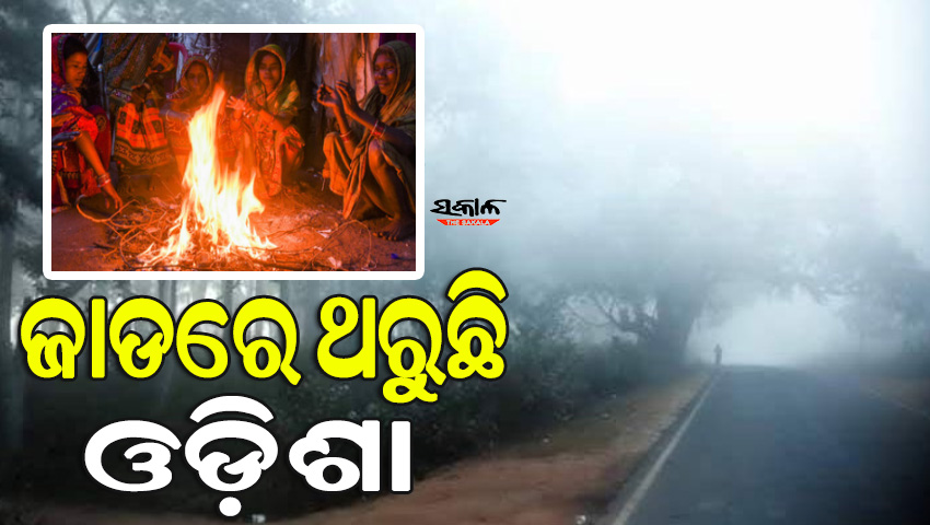 ସାରା ରାଜ୍ୟରେ ଶୀତ ଲହରୀ ଜାରି; ୫ ଡିଗ୍ରୀକୁ ଖସିଲା ପାରଦ, ଆହୁରି ଦୁଇ ଦିନ ହାଡ଼ଭଙ୍ଗା ଶୀତ