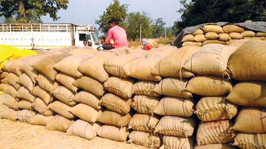 ପ‌ଶ୍ଚିମ ଓଡ଼ିଶାରେ ଚାଷୀଙ୍କୁ ସରକାରୀ ନିର୍ଯାତନା : ଦଲାଲଙ୍କୁ ଧାନ ବିକୁଛନ୍ତି ଚାଷୀ