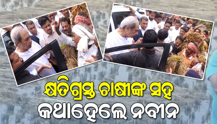 ଚାଷୀଙ୍କ କୋହ ଶୁଣିଲେ ନବୀନ; ସରକାର ତୁରନ୍ତ କ୍ଷତିପୂରଣ ଯୋଗାଇଦେବାକୁ କଲେ ଦାବି