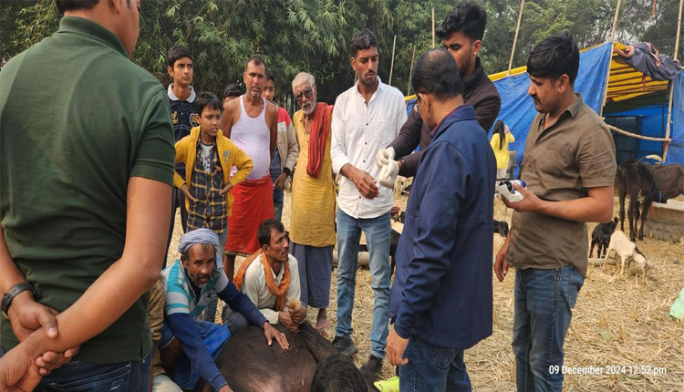 ଅବୈଧ ବଳିରୁ ଉଦ୍ଧାର ହୋଇଥିବା ୪ଶହ ପଶୁଙ୍କ ଆଜୀବନ ଯତ୍ନ ନେବ ‘ବନ୍ତାରା’