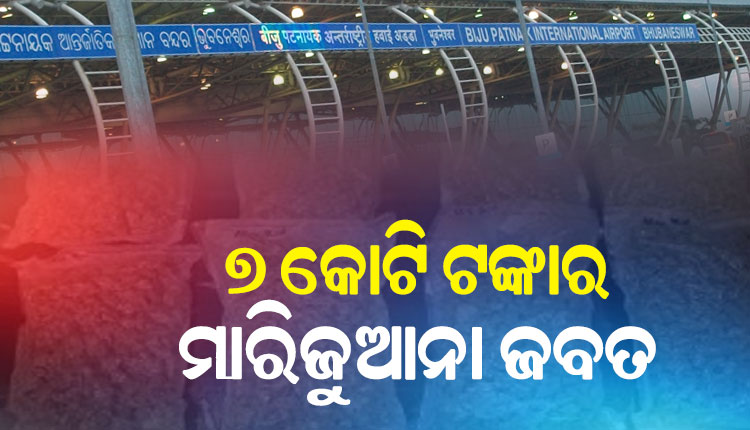ଭୁବନେଶ୍ବର ବିମାନବନ୍ଦରରୁ ୭ କୋଟି ଟଙ୍କାର ମାରିଜୁଆନା ଜବତ କଲା କଷ୍ଟମ ବିଭାଗ