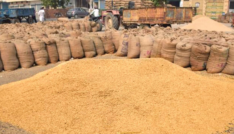 ମଣ୍ଡିର ଗୋଲକ ଧନ୍ଦାରେ ଛନ୍ଦି ହେଲେଣି ଚାଷୀ; ଯୋଗ୍ୟ ଚାଷୀଙ୍କ ଅପେକ୍ଷା ଅଯୋଗ୍ୟ ହାତେଇଛନ୍ତି ଅଧିକ ଟାର୍ଗେଟ