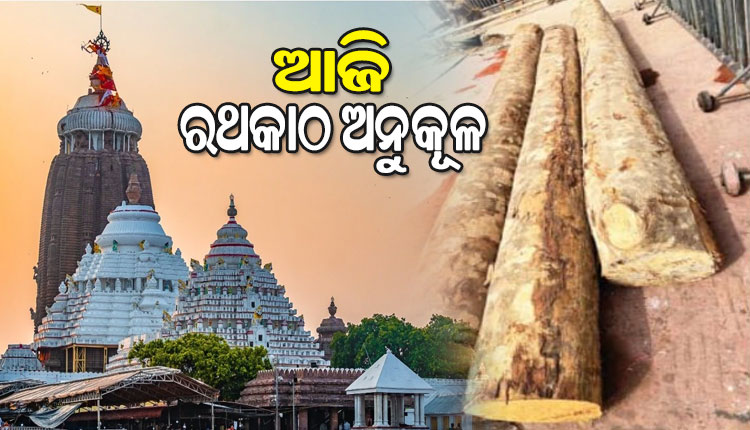 ଆଜି ମହାପ୍ରଭୁଙ୍କ ରଥଯାତ୍ରା ପାଇଁ ଅନୁକୂଳ ହେବ ରଥକାଠ, ୩ଟି ଧଉରା କାଠ ରଖାଯାଇ ହେବ ପୂଜାର୍ଚ୍ଚନା