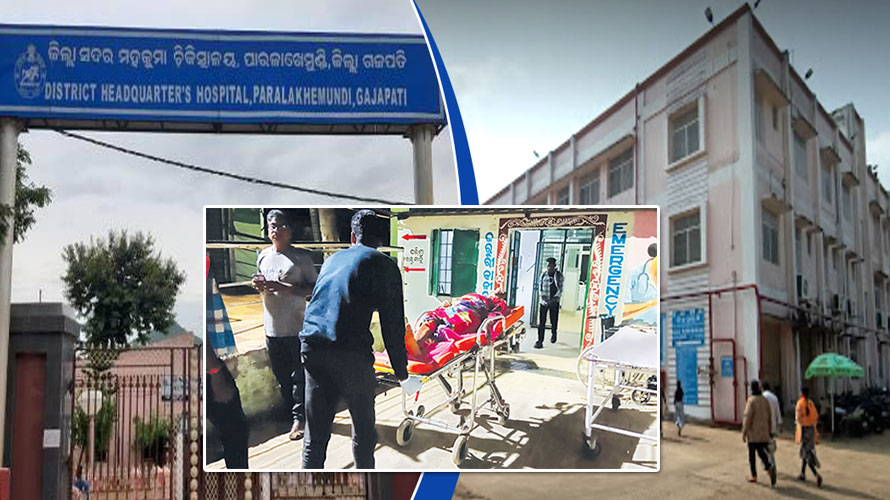 ଛତୁଆ ନେଲା ଦୁଇ ଶିଶୁ କନ୍ୟାଙ୍କ ଜୀବନ