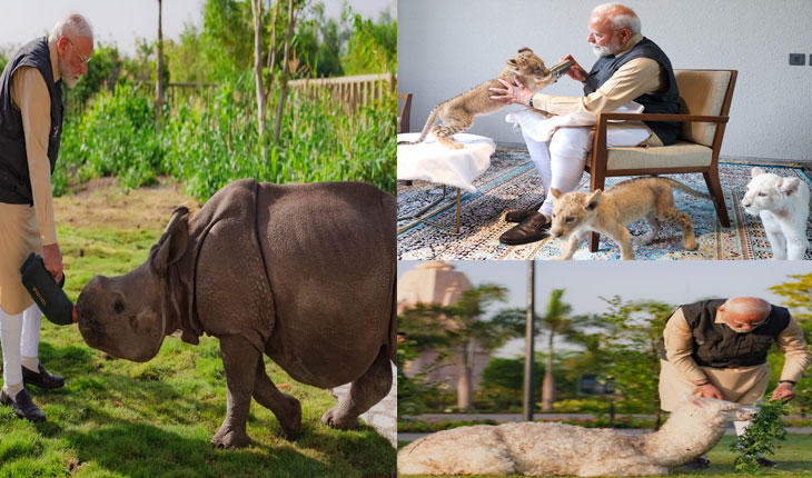 ପଶୁ ସଂରକ୍ଷଣ କେନ୍ଦ୍ର ‘ବନ୍ତାରା’ ଉଦଘାଟିତ, ନିଜ ହାତରେ ବାଘ, ସିଂହ ଓ ଗଣ୍ଡା ଶାବକଙ୍କୁ କ୍ଷୀର ପିଆଇଲେ ପ୍ରଧାନମନ୍ତ୍ରୀ…