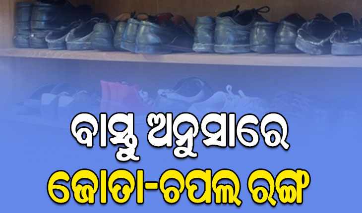 ବାସ୍ତୁ ଅନୁସାରେ କେଉଁ ରଙ୍ଗ ର ଜୋତା-ଚପଲ ଶୁଭ