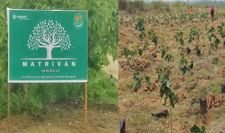 ବେଦାନ୍ତ ଆଲୁମିନିୟମର ମାତୃଭନ ଉଦ୍ୟମ, ଓଡ଼ିଶାରେ ପୃଥିବୀ ଦିବସ ଅବସରରେ ଏକ ସବୁଜ ଆସନ୍ତାକାଲି ପାଇଁ ଉତ୍କର୍ଷିତ ହେଉଛି