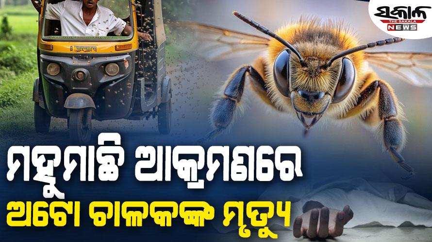 ମହୁମାଛି ଆକ୍ରମଣରେ ଚାଲିଗଲା ଅଟୋ ଚାଳକଙ୍କ ଜୀବନ