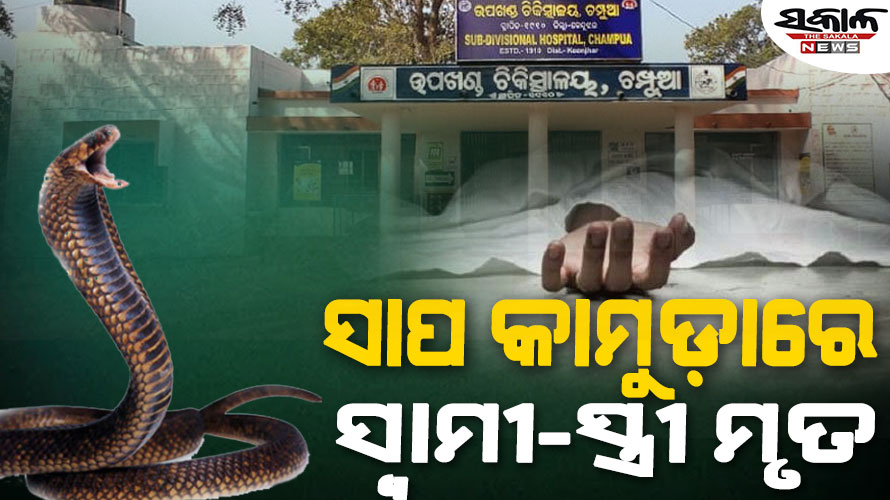 ଶୋଇଥିବା ବେଳେ ଦମ୍ପତିଙ୍କୁ କାମୁଡ଼ିଲା ବିଷାକ୍ତ ସାପ, ମୃତ ଘୋଷଣା କଲେ ଡାକ୍ତର