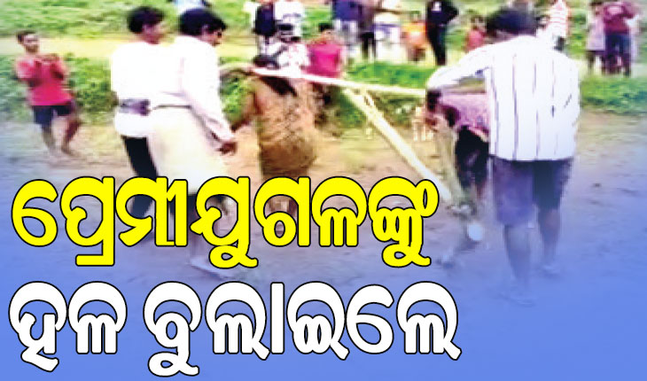 ଜାତି ସମାଜର କଙ୍ଗାରୁ କୋର୍ଟ; ବଳଦ ସାଜି ହଳ କଲେ ପ୍ରେମୀଯୁଗଳ …