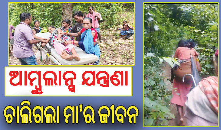 ଆସିପାରିଲାନି ଆମ୍ବୁଲାନ୍ସ: ଅଧାବାଟରେ ପ୍ରସବ କଲେ ମହିଳା ତ’ ଆଉ କେଉଁଠାରେ ସାପ କାମୁଡ଼ାରେ ଚାଲିଗଲା ମା’ର ଜୀବନ…