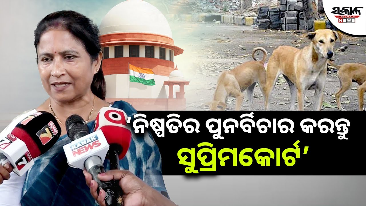 ବୁଲା କୁକୁରଙ୍କୁ ନେଇ ସୁପ୍ରିମ କୋର୍ଟ ନେଇଥିବା ନିଷ୍ପତ୍ତିର ପୁନର୍ବିଚାର କରିବାକୁ ଭୁବନେଶ୍ବର ମେୟରଙ୍କ ଅନୁରୋଧ