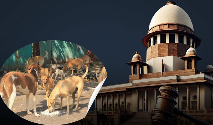 ଆଶ୍ରୟ ଗୃହରୁ ମୁକୁଳିବେ ବୁଲା କୁକୁର, ସର୍ବସାଧାରଣ ସ୍ଥାନରେ ପାଗଳ କୁକୁରଙ୍କୁ ଖାଇବାକୁ ଦେବା ନିଷେଧ…