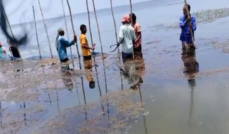 ଚିଲିକାରୁ ଉଚ୍ଛେଦ ହେଲା ବେଆଇନ ଘେରି…