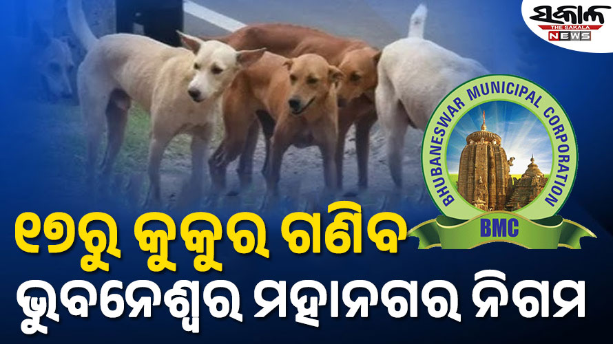 କୁକୁର ଗଣନା ପାଇଁ ଗଠନ ହେଲା ୪୧୦ ଟିମ୍‌‌, ଦୁଇ ପର୍ଯ୍ୟାୟରେ ଗଣତି ପାଇଁ ନିଷ୍ପତ୍ତି