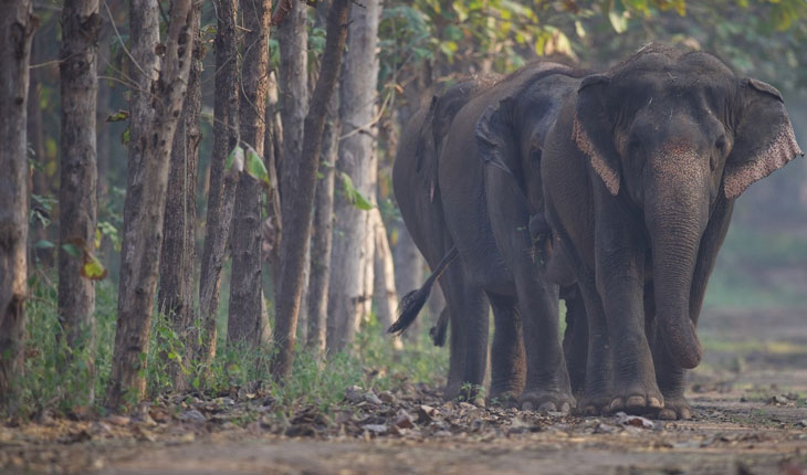 ସୁପ୍ରିମକୋର୍ଟ ଦ୍ୱାରା ନିଯୁକ୍ତ ଏସଆଇଟି ପକ୍ଷରୁ ବନତାରାକୁ କ୍ଲିନ୍ ଚିଟ୍