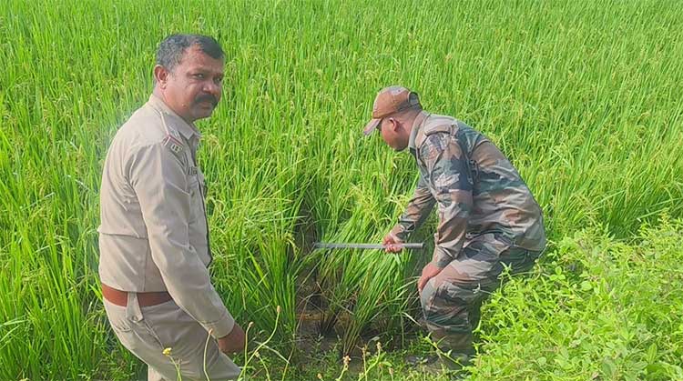 ଲକ୍ଷ୍ମୀପୁର ଗାଁରେ ବୁଲୁଛି ବାଘ, ଲୋକେ ଭୟଭୀତ