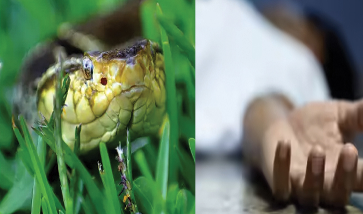 ସାପ କାମୁଡ଼ା ମୃତ୍ୟୁ ପାଇଁ କ୍ଷତିପୂରଣ ରାଶି ୧୦ ଲକ୍ଷ ହୋଇପାରେ....