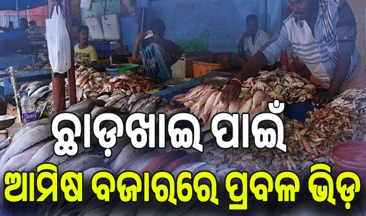 ଗତକାଲି ଗୁରୁବାର ଥିବାରୁ ଆଜି ଛାଡ଼ଖାଇ ପାଇଁ ଆମିଷ ବଜାରରେ ପ୍ରବଳ ଭିଡ଼....