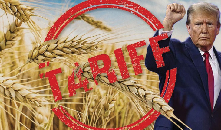 ଆମେରିକା କୃଷି ଉତ୍ପାଦ ଲାଗି ବଜାର ଖୋଲିବ ଭାରତ; ଶୁଳ୍କମୁକ୍ତ ହେଲା ମକା, ଦୁଗ୍ଧ, ସୋୟାବିନ ...