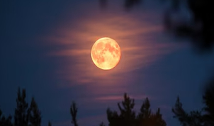 କାର୍ତ୍ତିକ ପୂର୍ଣ୍ଣିମାରେ 'ସୁପରମୁନ', ବର୍ଷର ସବୁଠୁ ବଡ଼ ଓ ଉଜ୍ଜଳ ଚନ୍ଦ୍ର...