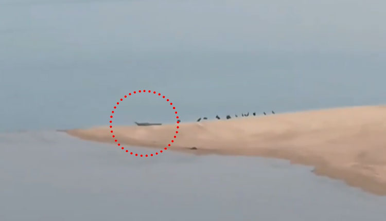 ମହାନଦୀରେ କୁମ୍ଭୀର ଆତଙ୍କ, ଭୟଭୀତ ଅବସ୍ଥାରେ ନଦୀକୂଳିଆ ଲୋକେ