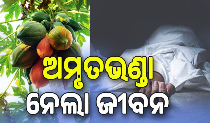 ଅମୃତଭଣ୍ଡା ତୋଳିବା ହେଲା କାଳ, ଚାଲିଗଲା ଜଣେ ମହିଳାଙ୍କ ଜୀବନ...