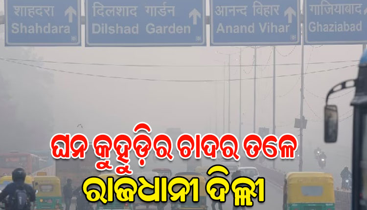 ପ୍ରଦୂଷଣ ଏବଂ ଘନ କୁହୁଡ଼ିର ଆସ୍ତରଣ ତଳେ ରାଜଧାନୀ ଦିଲ୍ଲୀ; ଦିଶିଲାନି ରାସ୍ତାଘାଟ, ଅସ୍ତବ୍ୟସ୍ତ ଜନଜୀବନ
