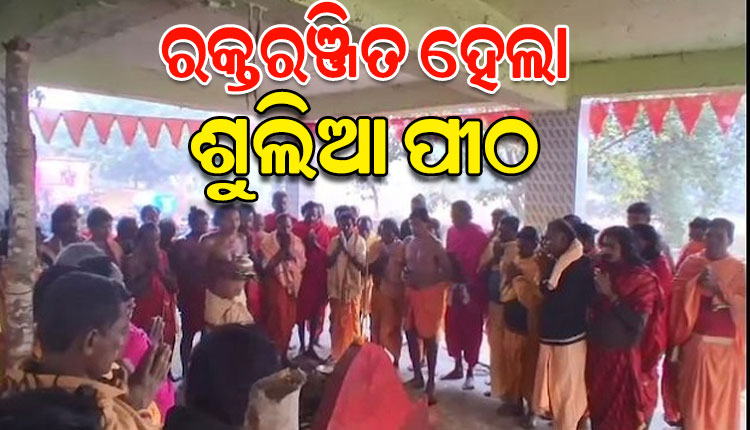 ଆଜି ବଲାଙ୍ଗିରର ପ୍ରସିଦ୍ଧ ଶୁଲିଆ ଯାତ୍ରା; ରକ୍ତରଞ୍ଜିତ ହେଲା ପୀଠ, ପଡିଲା ବଳି