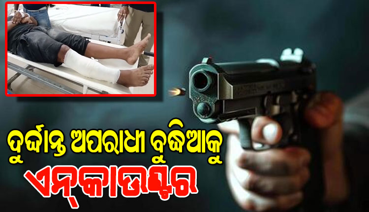 ଭଦ୍ରକରେ ପୋଲିସର ଏନକାଉଣ୍ଟର୍: ଦୁର୍ଦ୍ଦାନ୍ତ ଅପରାଧୀ କମଳାକାନ୍ତ ଦାସ ଓରଫ ବୁଦ୍ଧିଆ ଆହତ