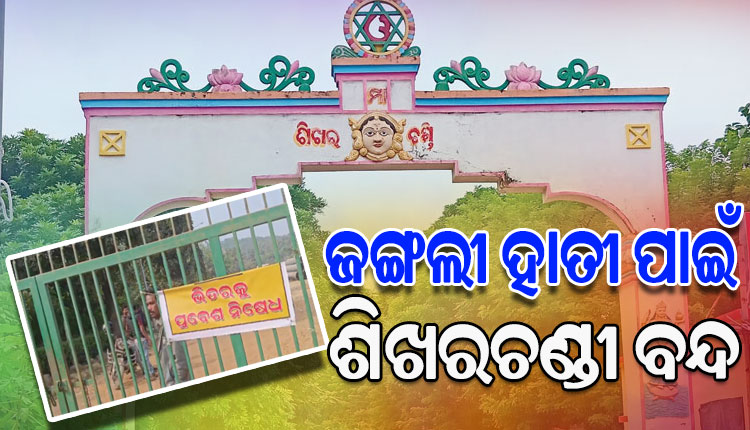 ଶିଖରଚଣ୍ଡୀରେ ବୁଲୁଛନ୍ତି ଦନ୍ତା ହାତୀ, ପର୍ଯ୍ୟଟକଙ୍କ ପ୍ରବେଶ ଉପରେ ଅଙ୍କୁଶ ଲଗାଇଲା ବନ ବିଭାଗ