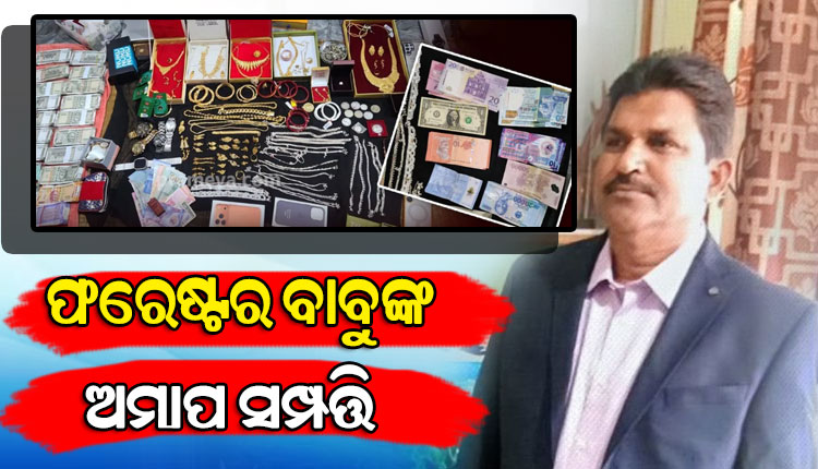 ଫରେଷ୍ଟର ବାବୁଙ୍କ ଅଚଳାଚଳ ସମ୍ପତ୍ତି ଦେଖି ଭିଜିଲାନ୍ସ ଜଳକା, ରେଡ୍ ବେଳେ ୭ଟି ଦାମୀ ପ୍ଲଟ୍ ଓ ୧ କିଲୋ ସୁନା ଜବତ