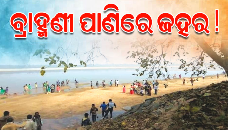 ବିଷାକ୍ତ ହେବାରେ ଲାଗିଛି ବ୍ରାହ୍ମଣୀ ନଦୀର ଜଳ; ଗାଧୋଇଲେ ହେଉଛି ଚର୍ମରୋଗ, ପିଇଲେ କିଡ୍‌ନୀ ଖରାପ !