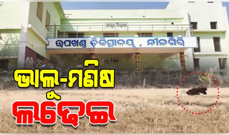 ଭାଲୁ ସହ ଲଢି ମୃତ୍ୟୁ ମୁଖରୁ ବର୍ତ୍ତିଲେ ୧୩ ବର୍ଷର ନାବାଳକ