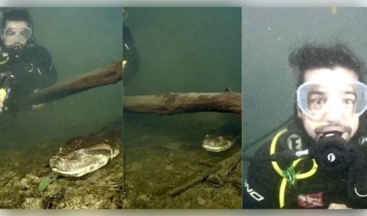 Viral Video: ପାଣି ଭିତରେ ୨୦୦ କିଲୋର ବିଶାଳ ଆନାକୋଣ୍ଡା ସହ ମୁହାଁମୁହିଁ ହେଲେ ଡାଇଭର; ଦେଖନ୍ତୁ ଏହି ଭାଇରାଲ ଭିଡିଓ