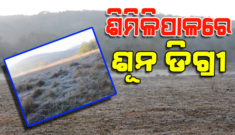 ଶୀତରେ ଥରୁଛି ସାରା ମୟୂରଭଞ୍ଜ; ଶିମିଳିପାଳରେ ପାରଦ ଶୂନ ଡିଗ୍ରୀ, ଜନଜୀବନ ଅସ୍ତବ୍ୟସ୍ତ