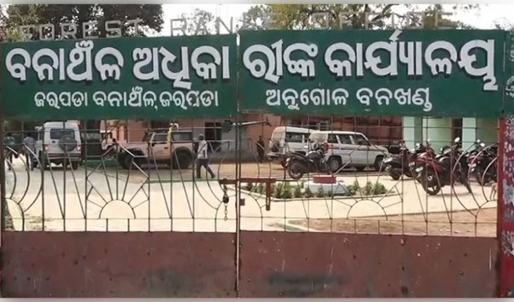 ବୋମା ଖାଇ ହାତୀ ମୃତ୍ୟୁ ପରେ ବନ ବିଭାଗର ତତ୍ପରତା: ବନ୍ୟଜନ୍ତୁଙ୍କ ସୁରକ୍ଷା ପାଇଁ ଆରମ୍ଭ ହେଲା 'ଜୀବେ ଦୟା' ଅପରେସନ