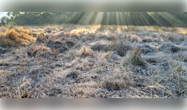 ଶିମିଳିପାଳରେ ହାଡ଼ଭଙ୍ଗା ଶୀତ: ୧୩ ବର୍ଷର ରେକର୍ଡ ଭାଙ୍ଗିଲା, ତାପମାତ୍ରା ମାଇନସ୍ ୧ ଡିଗ୍ରୀ