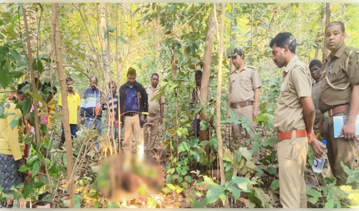 ସାତକୋଶିଆ ରିଜର୍ଭ ଜଙ୍ଗଲରେ ମହାବଳ ଆତଙ୍କ; ଖାଇଲା ୨ବଳଦ ଓ ୨ଗାଈ