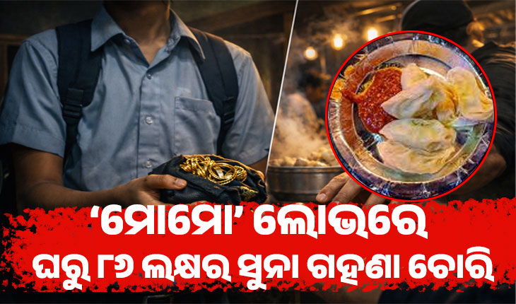 ମୋମୋ ଖାଇବା ନିଶା: ଘରୁ ୮୬ ଲକ୍ଷ ଟଙ୍କାର ଗହଣା ଚୋରି କରି ଦୋକାନୀକୁ ଦେଲା ନାବାଳକ