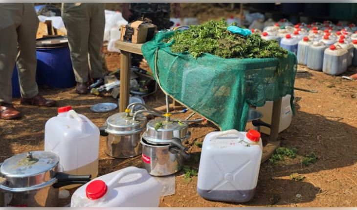 ୨୦୦ କୋଟିର ଗଞ୍ଜେଇ ତେଲ ସହ ୧ ଟନ୍ ଗଞ୍ଜେଇ ଜବତ କଲା କୋରାପୁଟ ପୁଲିସ