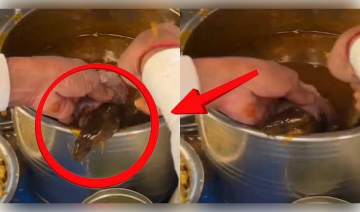 ଗୁପଚୁପ୍ ପ୍ରେମୀ ସାବଧାନ! ମସଲା ପାଣିରୁ ବାହାରିଲା ଜୀବନ୍ତ ମୂଷା, ଭିଡିଓ ଦେଖିଲେ ଉଡ଼ିଯିବ ହୋସ୍