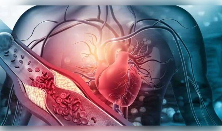 ୩୦ ବର୍ଷ ପୂର୍ବରୁ ନିୟନ୍ତ୍ରଣ କରନ୍ତୁ କୋଲେଷ୍ଟ୍ରଲ! ହୃଦଘାତ ଓ ଷ୍ଟ୍ରୋକ୍ ରୋକିବା ପାଇଁ ବିଶେଷଜ୍ଞଙ୍କ ନୂଆ ଗାଇଡଲାଇନ୍