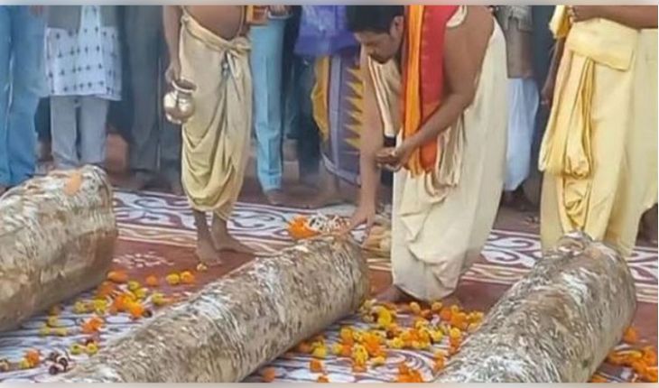 ମହାପ୍ରଭୁଙ୍କ ରଥନିର୍ମାଣ ପାଇଁ ଆରମ୍ଭ ହେଲା ରଥ କାଠ ଚିରଟ 