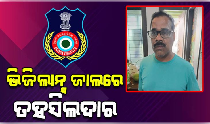 ଭିଜିଲାନ୍ସ ଜାଲରେ କଣ୍ଟାପଡ଼ା ତହସିଲଦାର, ଆୟ ବହିର୍ଭୂତ ସମ୍ପତ୍ତି ଠୁଳ ଅଭିଯୋଗରେ ଏକକାଳୀନ ୭ଟି ସ୍ଥାନରେ ଚଢ଼ାଉ 