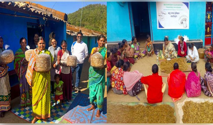 କାଶୀପୁରରେ ଛତୁ ଚାଷ ଜରିଆରେ ଗ୍ରାମୀଣ ମହିଳାମାନଙ୍କୁ ସଶକ୍ତ କରୁଛି ବେଦାନ୍ତ ଆଲୁମିନିୟମ